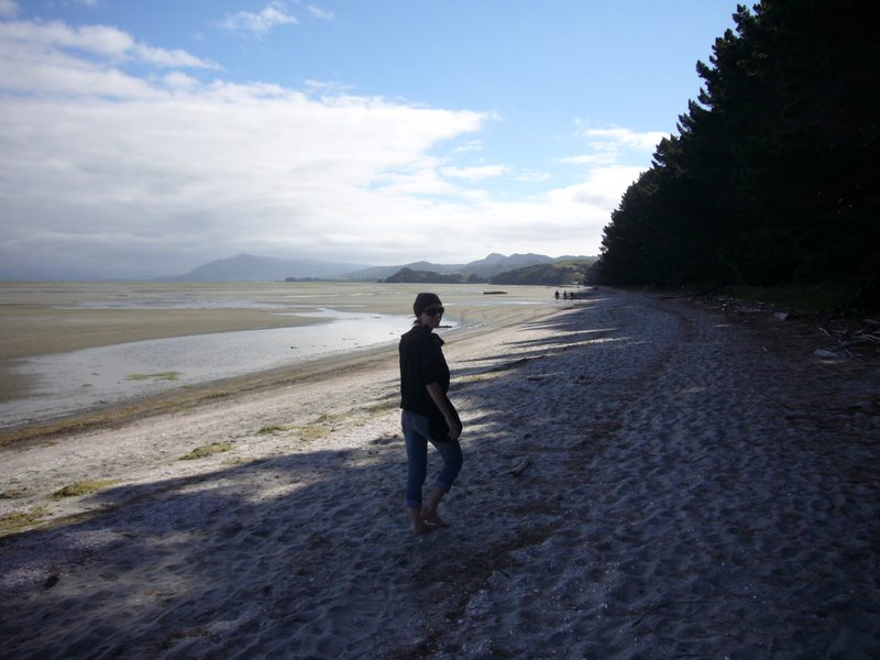 Travel - New Zealand - North West and Farewell Spit